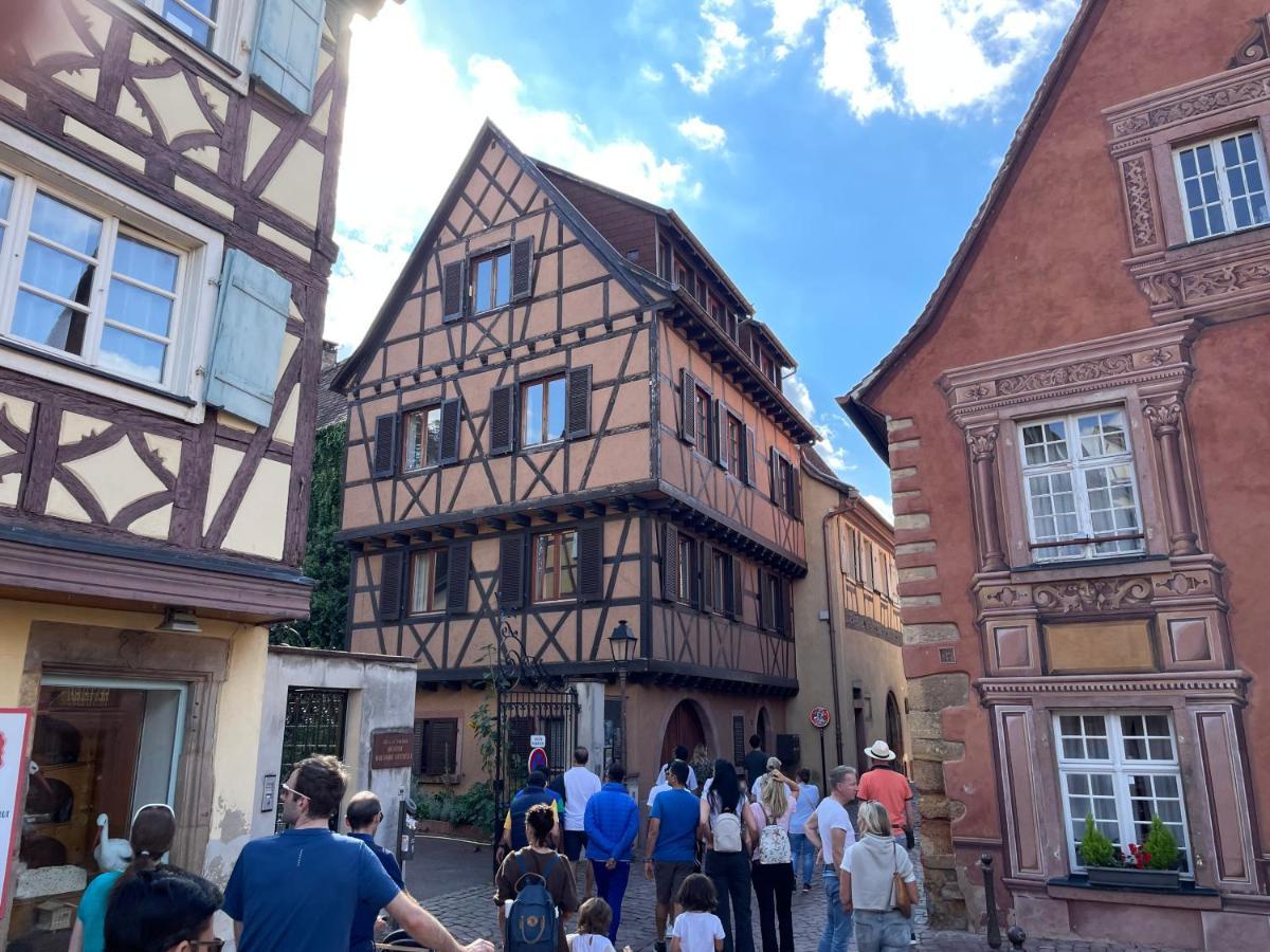 Rive Petite Venise Appartement Luxe - Centre Ville Colmar - Clim, Ascenseur & Possibilite Parking Exterior photo
